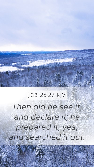 Job 28:27 KJV Mobile Phone Wallpaper - Then did he see it, and declare it; he prepared - Mobile Bible Verse Wallpaper
