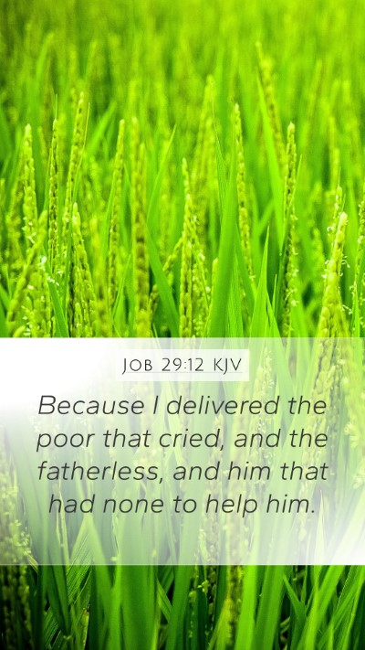 Job 29:12 KJV Bible Verse Image