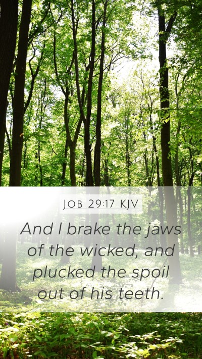 Job 29:17 KJV Bible Verse Image