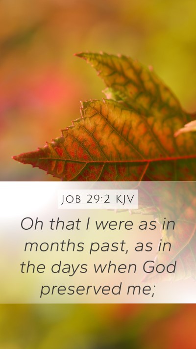 Job 29:2 KJV Bible Verse Image