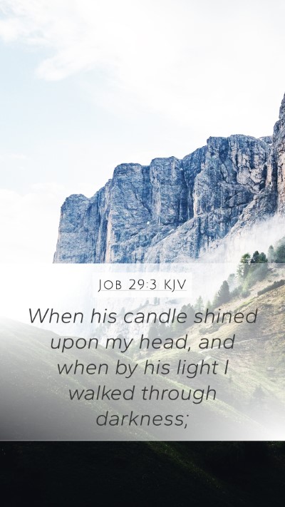 Job 29:3 KJV Bible Verse Image