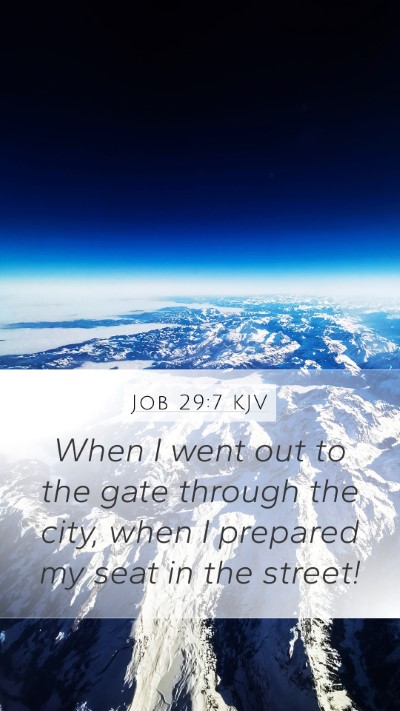 Job 29:7 KJV Bible Verse Image