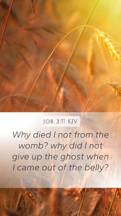 Job 3:11 KJV Bible Verse Image