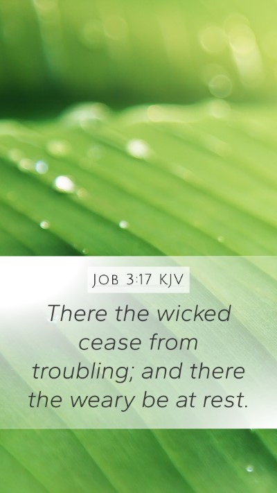 Job 3:17 KJV Bible Verse Image