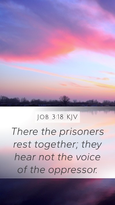 Job 3:18 KJV Bible Verse Image