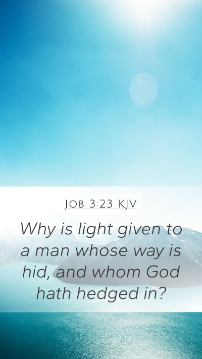 Job 3:23 KJV Bible Verse Image