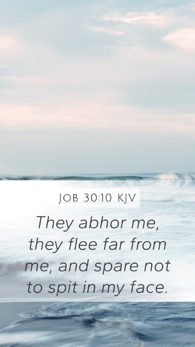 Job 30:10 KJV Bible Verse Image