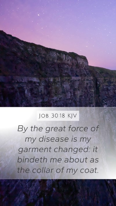 Job 30:18 KJV Bible Verse Image