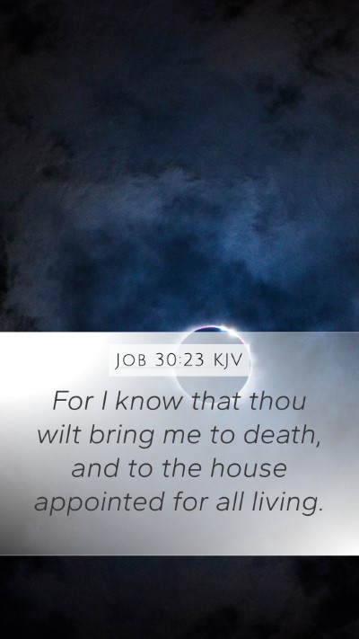 Job 30:23 KJV Bible Verse Image