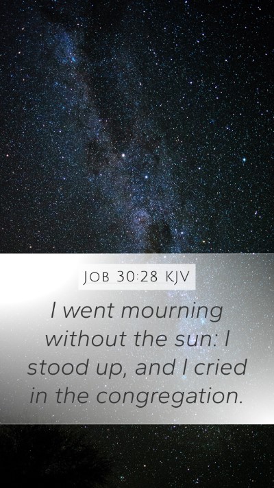 Job 30:28 KJV Bible Verse Image