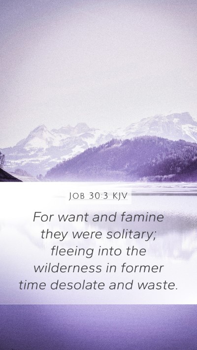 Job 30:3 KJV Bible Verse Image