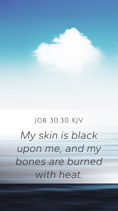Job 30:30 KJV Bible Verse Image