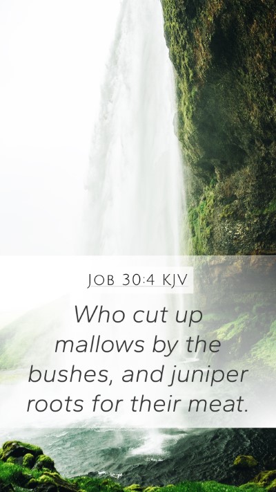 Job 30:4 KJV Mobile Phone Wallpaper - Who cut up mallows by the bushes, and juniper - Mobile Bible Verse Wallpaper
