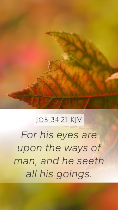 Job 34:21 KJV Bible Verse Image
