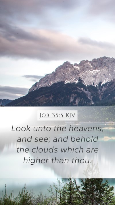 Job 35:5 KJV Bible Verse Image