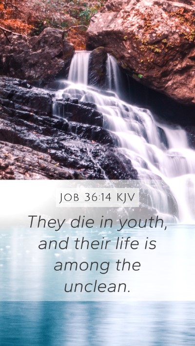 Job 36:14 KJV Bible Verse Image