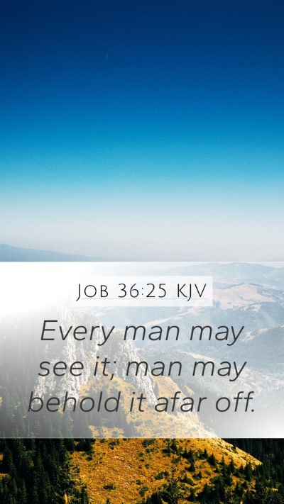 Job 36:25 KJV Mobile Phone Wallpaper - Every man may see it; man may behold it afar - Mobile Bible Verse Wallpaper