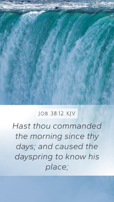 Job 38:12 KJV Bible Verse Image