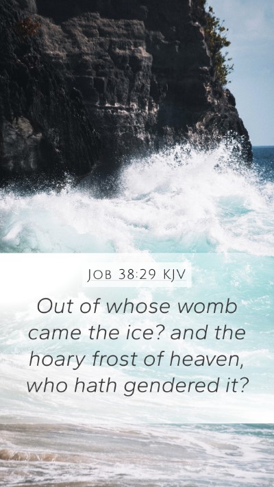 Job 38:29 KJV Bible Verse Image