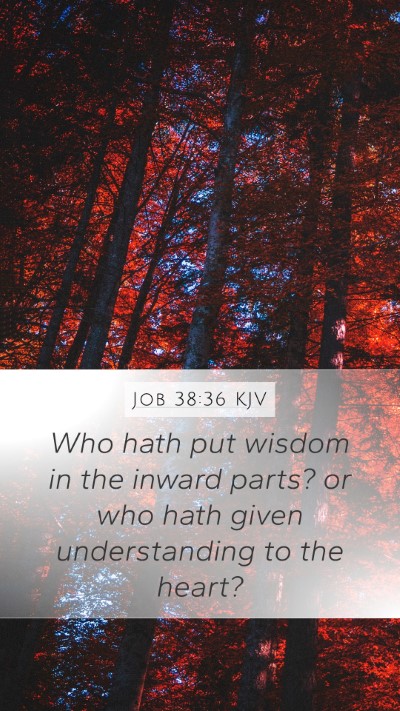 Job 38:36 KJV Bible Verse Image