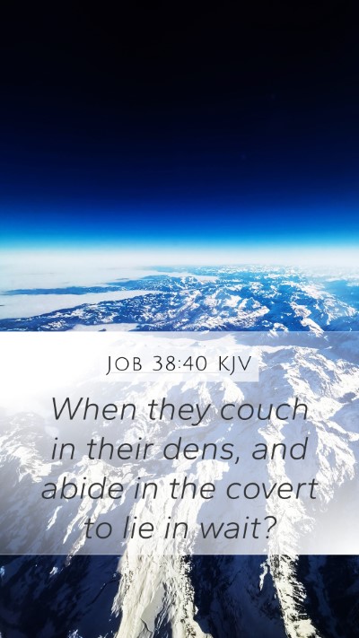 Job 38:40 KJV Bible Verse Image