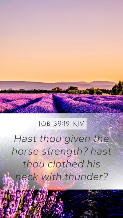 Job 39:19 KJV Bible Verse Image