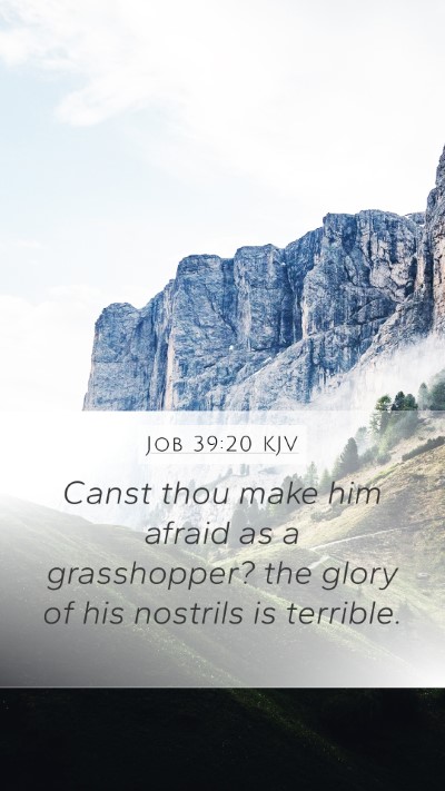 Job 39:20 KJV Mobile Phone Wallpaper - Canst thou make him afraid as a grasshopper? the - Mobile Bible Verse Wallpaper