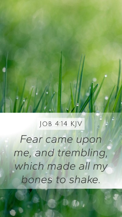 Job 4:14 KJV Bible Verse Image