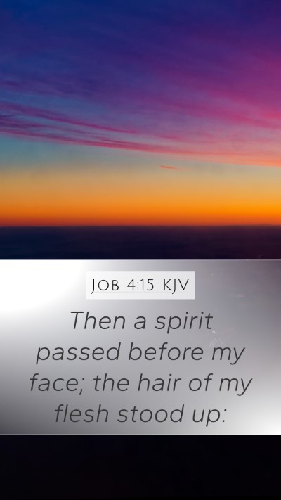 Job 4:15 KJV Mobile Phone Wallpaper - Then a spirit passed before my face; the hair of - Mobile Bible Verse Wallpaper