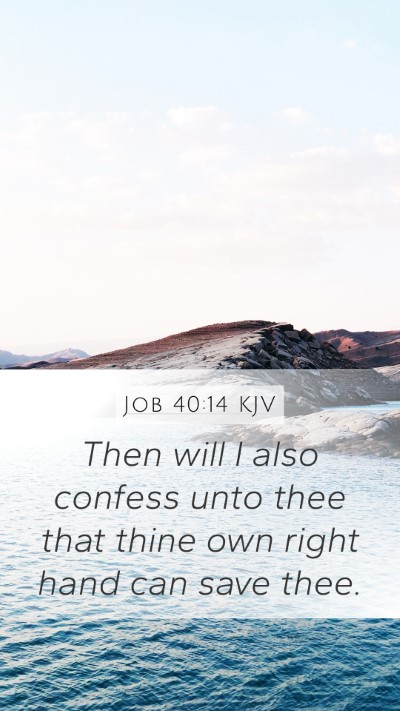 Job 40:14 KJV Bible Verse Image