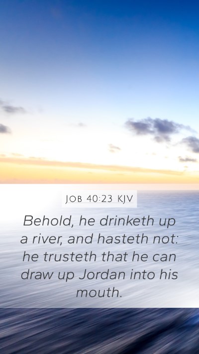 Job 40:23 KJV Mobile Phone Wallpaper - Behold, he drinketh up a river, and hasteth not: - Mobile Bible Verse Wallpaper
