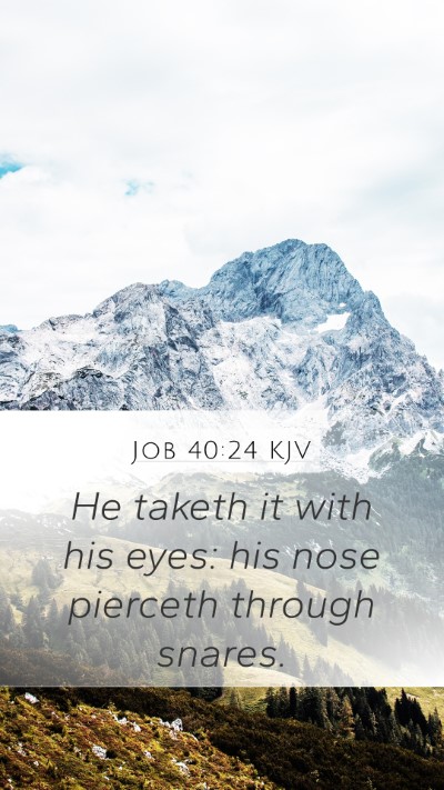 Job 40:24 KJV Mobile Phone Wallpaper - He taketh it with his eyes: his nose pierceth - Mobile Bible Verse Wallpaper
