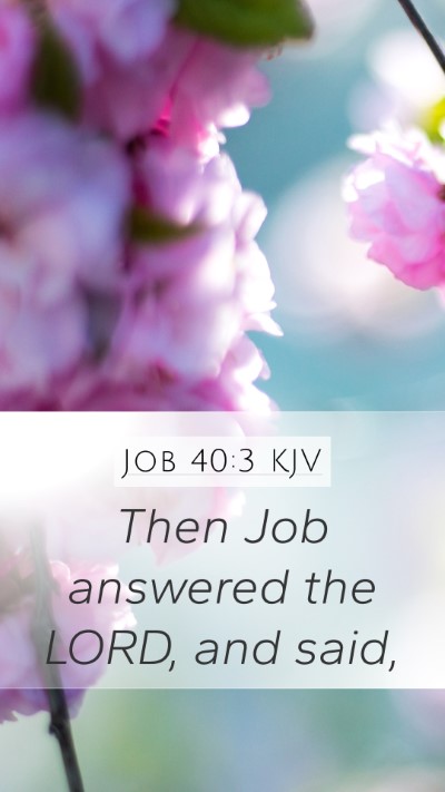 Job 40:3 KJV Mobile Phone Wallpaper - Then Job answered the LORD, and - Mobile Bible Verse Wallpaper