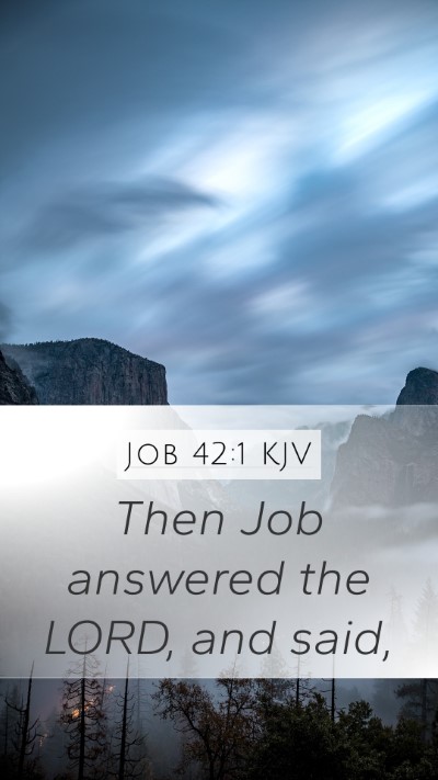 Job 42:1 KJV Mobile Phone Wallpaper - Then Job answered the LORD, and - Mobile Bible Verse Wallpaper