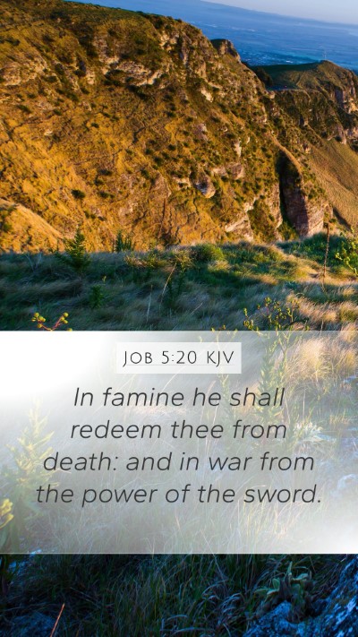 Job 5:20 KJV Bible Verse Image