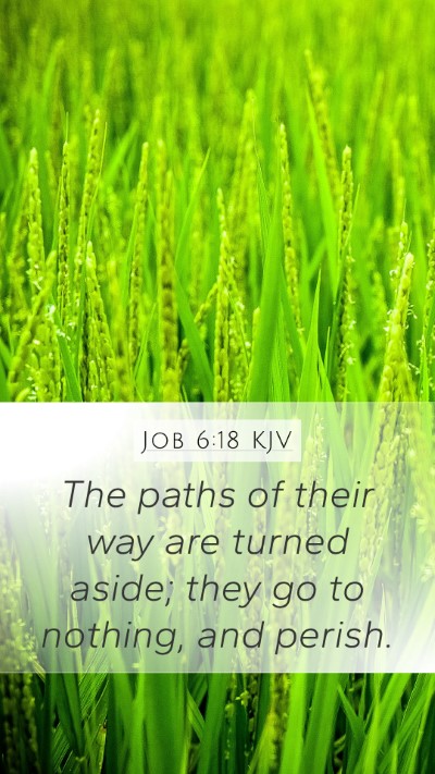 Job 6:18 KJV Bible Verse Image