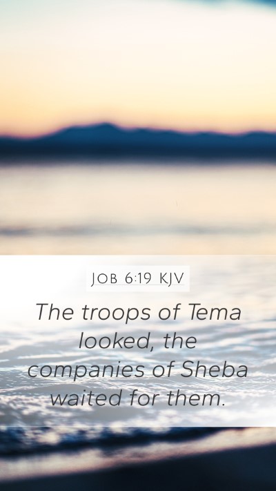 Job 6:19 KJV Bible Verse Image