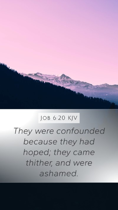 Job 6:20 KJV Bible Verse Image