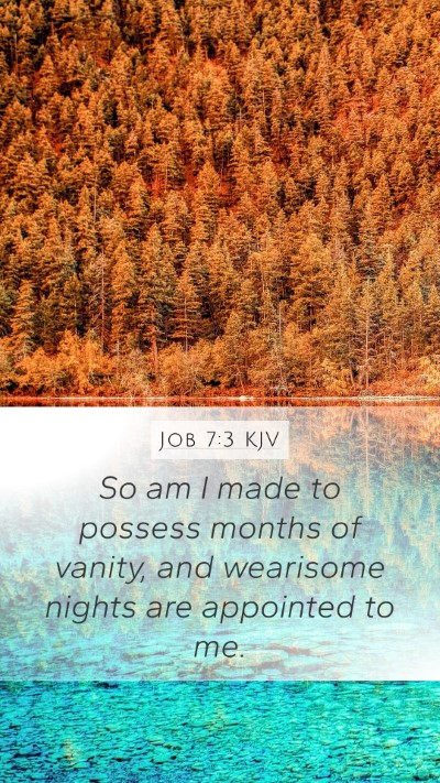 Job 7:3 KJV Bible Verse Image