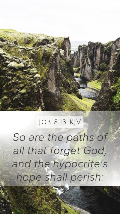 Job 8:13 KJV Bible Verse Image