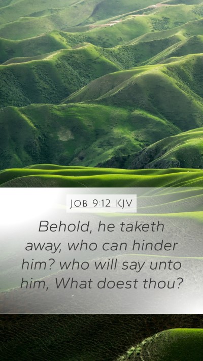 Job 9:12 KJV Bible Verse Image