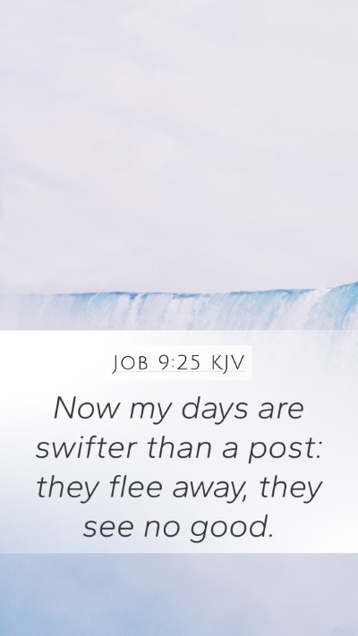 Job 9:25 KJV Bible Verse Image