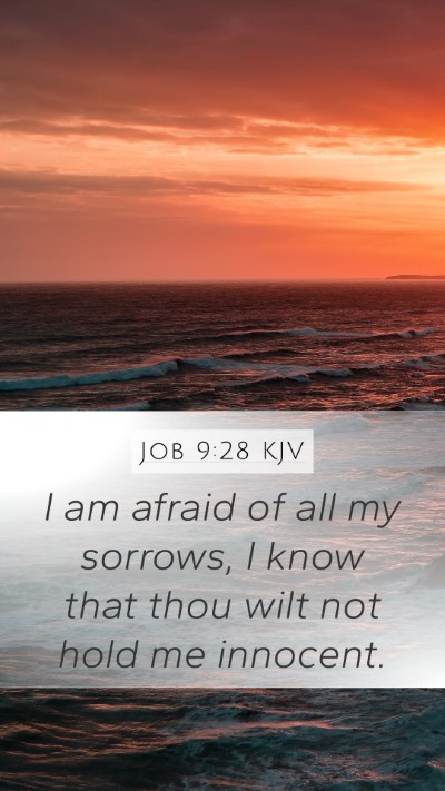 Job 9:28 KJV Mobile Phone Wallpaper - I am afraid of all my sorrows, I know that thou - Mobile Bible Verse Wallpaper