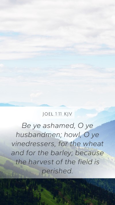 Joel 1:11 KJV Bible Verse Image