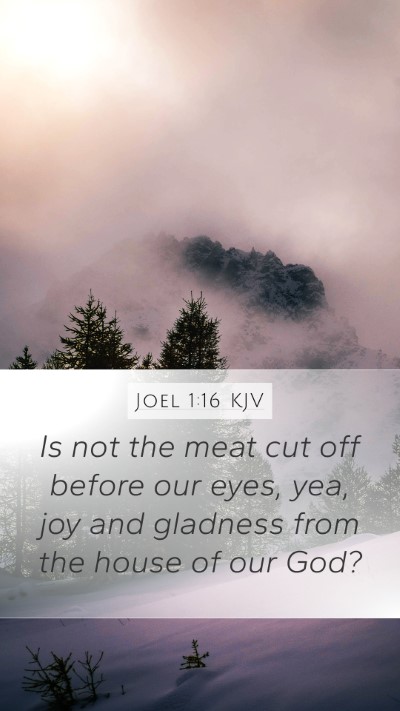 Joel 1:16 KJV Bible Verse Image