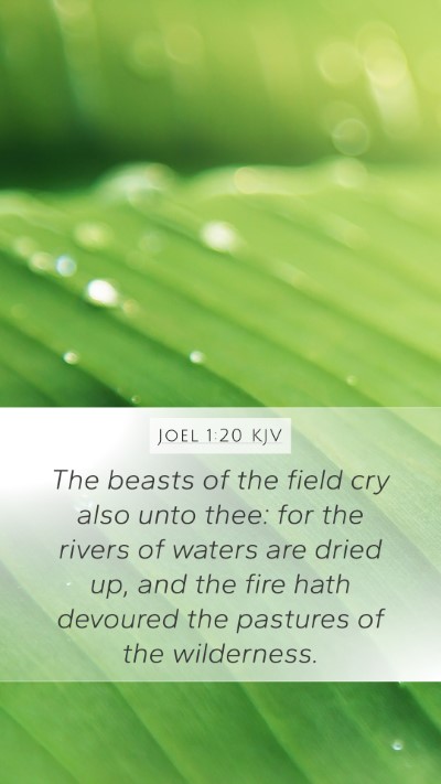Joel 1:20 KJV Mobile Phone Wallpaper - The beasts of the field cry also unto thee: for - Mobile Bible Verse Wallpaper