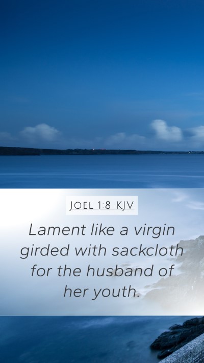 Joel 1:8 KJV Mobile Phone Wallpaper - Lament like a virgin girded with sackcloth for - Mobile Bible Verse Wallpaper