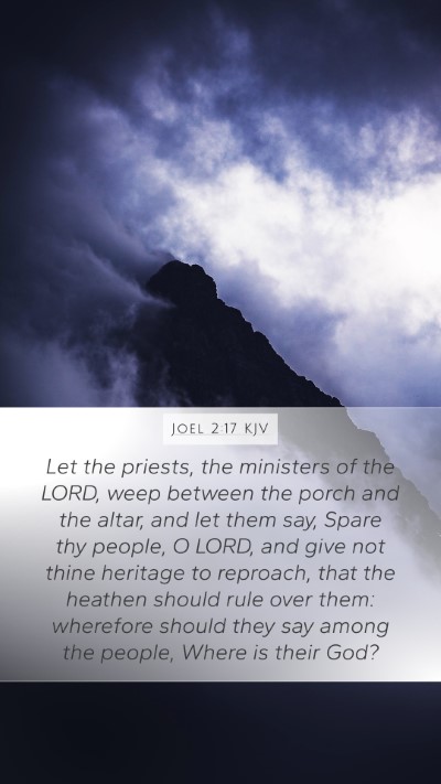 Joel 2:17 KJV Bible Verse Image