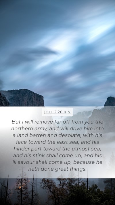 Joel 2:20 KJV Bible Verse Image