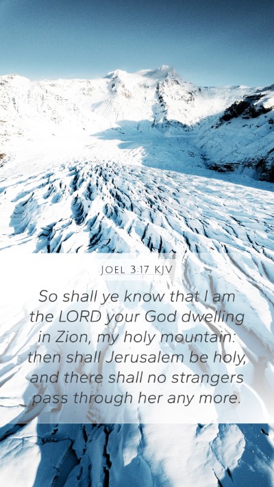 Joel 3:17 KJV Bible Verse Image